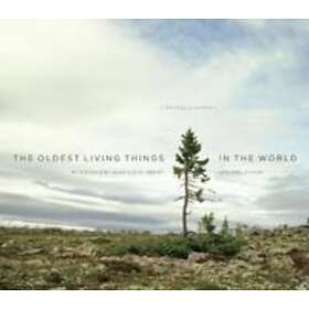 Rachel Sussman: The Oldest Living Things in the World