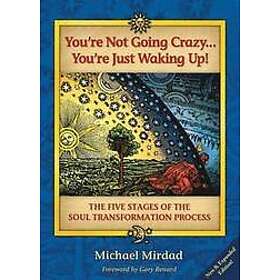 Michael Mirdad: You'Re Not Going Crazy...You'Re Just Waking Up!