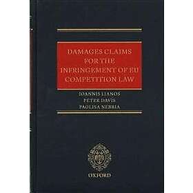 Ioannis Lianos: Damages Claims for the Infringement of EU Competition Law