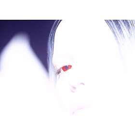 Wind Atlas - Arche-Fossil LP