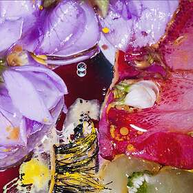 Virginia Wing / Xam Duo - Forward Constant Motion LP