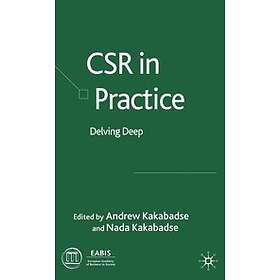 N Kakabadse: CSR in Practice
