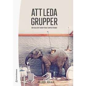 Josi Lundin, Rein Lallo: Att leda grupper När resultatet beror på bra teamprestationer