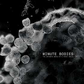 Tindersticks - Minute Bodies: The Intimate World Of F. Percy Smith LP