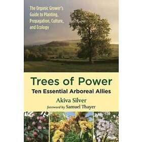 Akiva Silver: Trees of Power