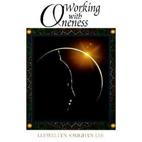 Llewellyn Vaughan-Lee: Working with Oneness