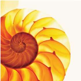 The Samuel Jackson Five - Easily Misunderstood LP