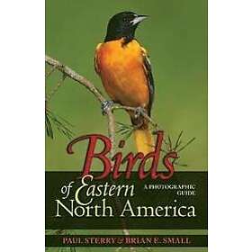 Paul Sterry, Brian E Small: Birds of Eastern North America