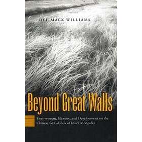 Dee Mack Williams: Beyond Great Walls