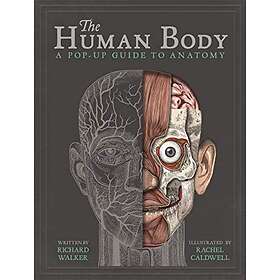 Richard Walker: The Human Body