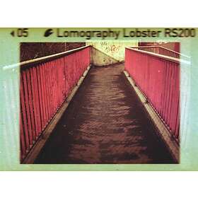 Lomography Lobster 110 Redscale ISO 200 1st