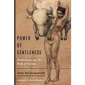Anne Dufourmantelle: Power of Gentleness