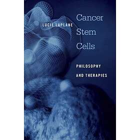 Lucie Laplane: Cancer Stem Cells