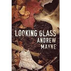 Andrew Mayne: Looking Glass