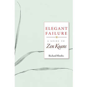 Richard Shrobe: Elegant Failure