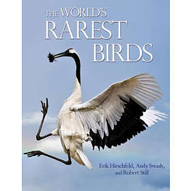Erik Hirschfeld, Andy Swash, Robert Still: The World's Rarest Birds