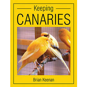 Brian Keenan: Keeping Canaries