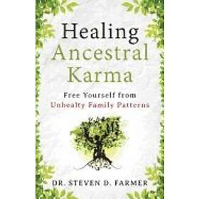 Dr Steven Farmer: Healing Ancestral Karma