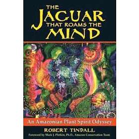 Robert Tindall: Jaguar That Roams the Mind