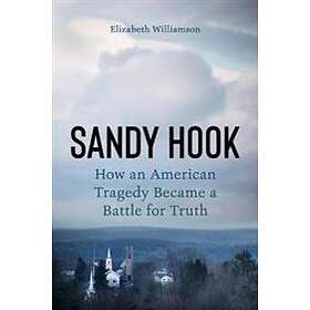 Elizabeth Williamson: Sandy Hook