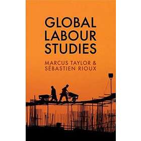 M Taylor: Global Labour Studies