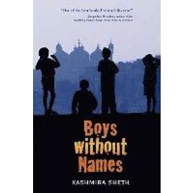 Kashmira Sheth: Boys without Names
