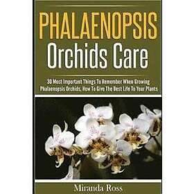 Miranda Ross: Phalaenopsis Orchids Care: 30 Most Important Things To Remember When Growing