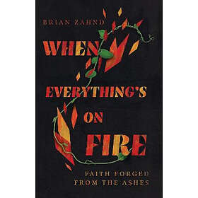 Brian Zahnd: When Everything`s on Fire Faith Forged from the Ashes