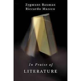 Z Bauman: In Praise of Literature