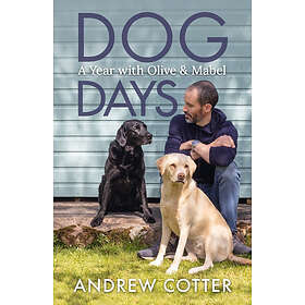 Andrew Cotter: Dog Days