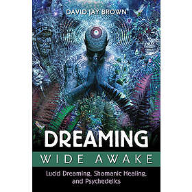 David Jay Brown: Dreaming Wide Awake