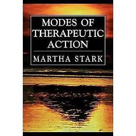 Martha Stark: Modes of Therapeutic Action