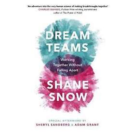 Shane Snow: Dream Teams