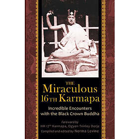 Naomi Levine: The Miraculous 16th Karmapa