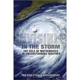 Ian Roulstone, John Norbury: Invisible in the Storm
