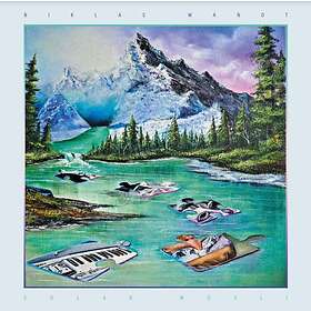 Niklas Wandt Solar LP