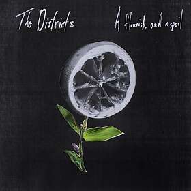The Districts A Flourish And Spoil LP
