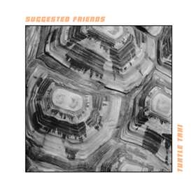 Suggested Turtle Taxi LP