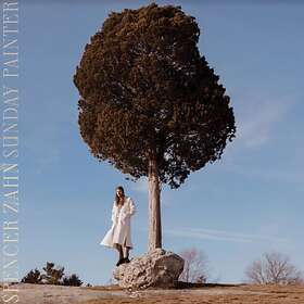 Spencer Zahn Painter LP