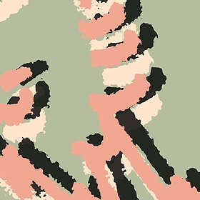 Shielding Collecting Seaweed EP LP