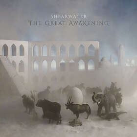 The Great Awakening LP