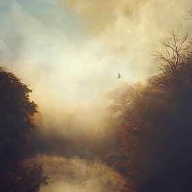 Stray Theories This Light LP