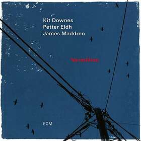Kit Downes Vermillion LP