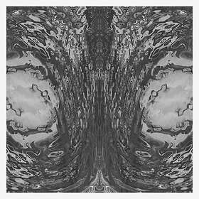 Necro Deathmort The Capsule LP