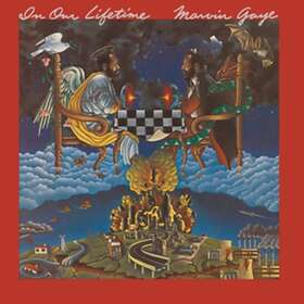 Gaye In Our Lifetime LP