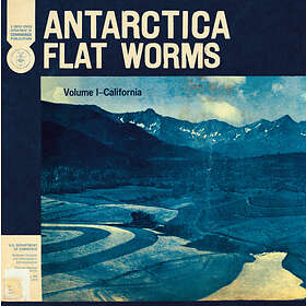 Flat Worms Antarctica LP