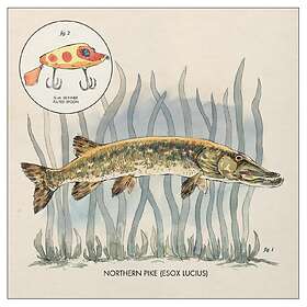 Nick Lowe Lay It On Me EP LP
