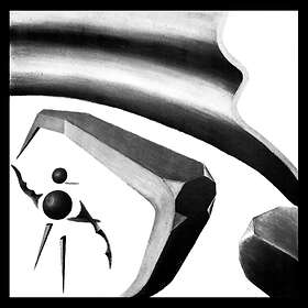 Carl Erdmann Bizzarrophytes LP