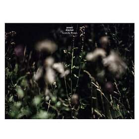 Anneli Drecker Rocks & Straws LP