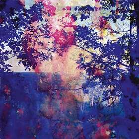 Roland Bucher - Viaje LP